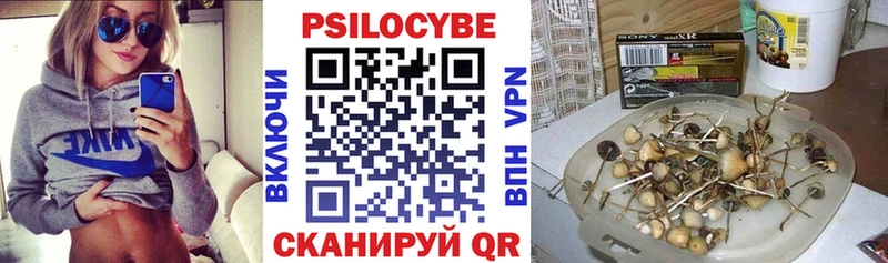Галлюциногенные грибы Psilocybine cubensis  Кушва 