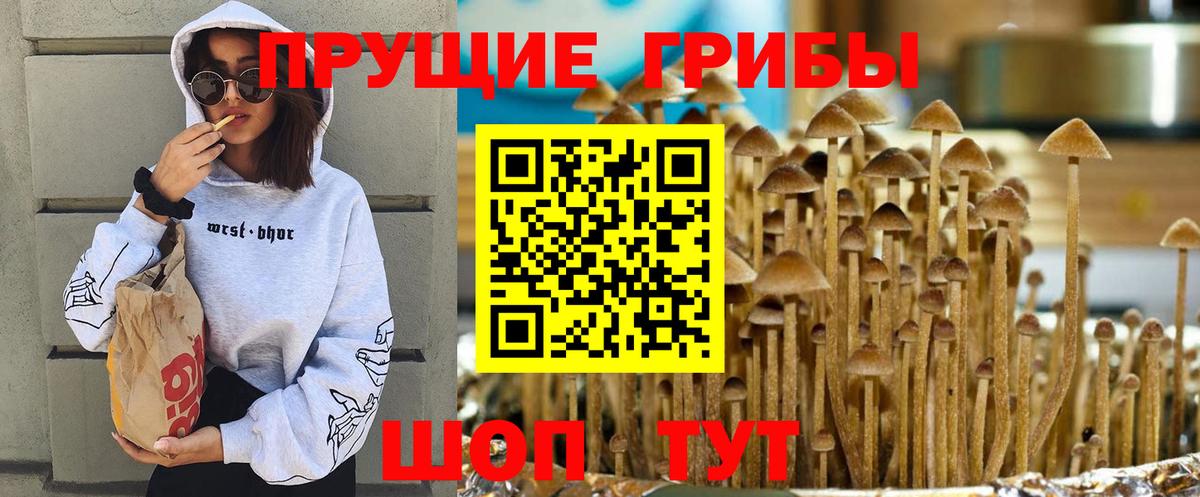 Галлюциногенные грибы ЛСД Кушва