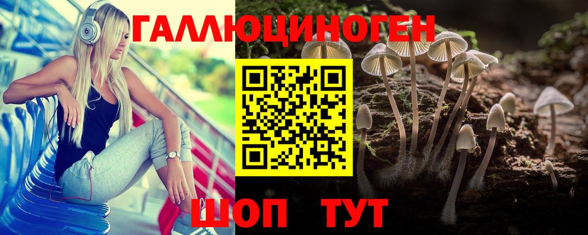 Галлюциногенные грибы Psilocybine cubensis Кушва